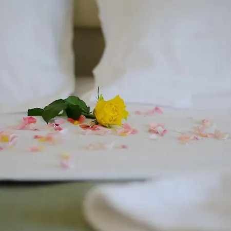 호텔 Ovidius 술모나