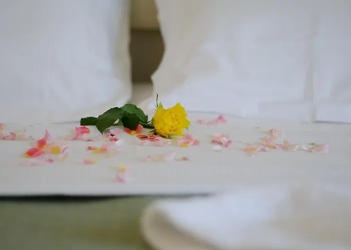 Otel Ovidius Sulmona