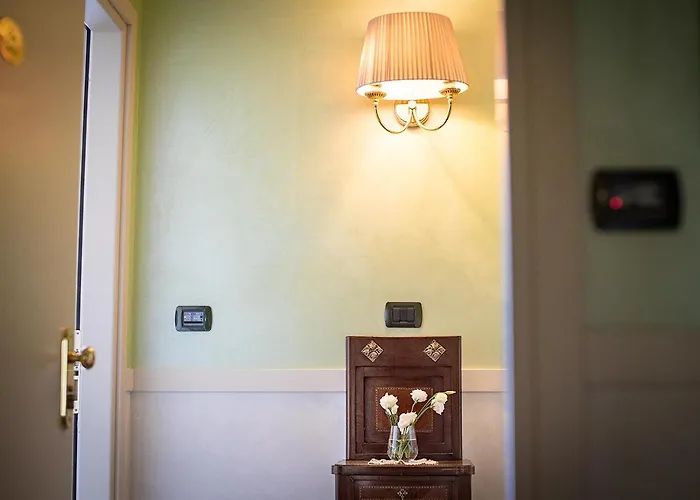 Ovidius סולמונה